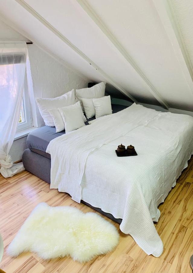 הומבורג Studio Apartment In Direkter Naehe Zur Uniklinik Homburg מראה חיצוני תמונה